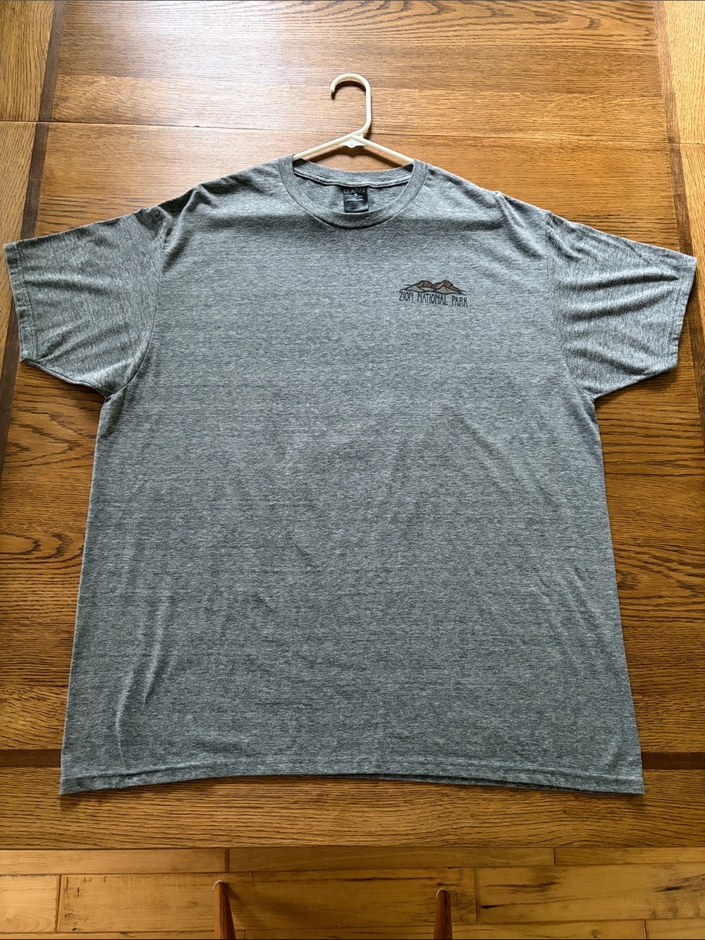 Men's Gray Short Sleeve Crew T-Shirt with Zion Mountain Graphic